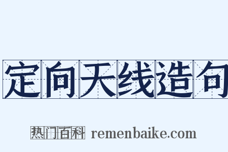定向天线造句是什么意思的图片